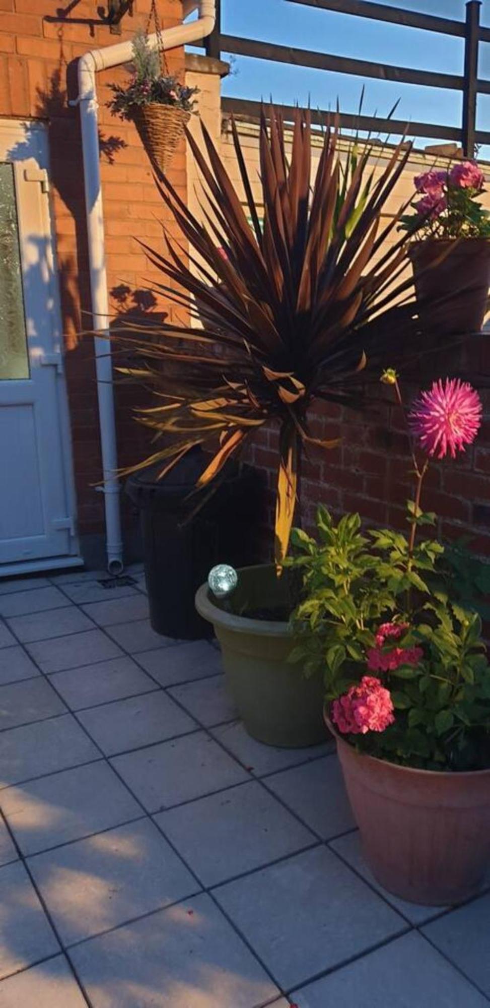 Cosy Corner - Town Centre Flat With Free Nearby Parking Appartement Shrewsbury Buitenkant foto