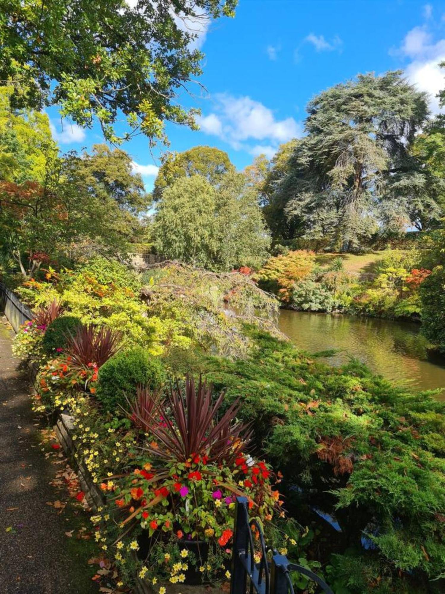 Cosy Corner - Town Centre Flat With Free Nearby Parking Appartement Shrewsbury Buitenkant foto