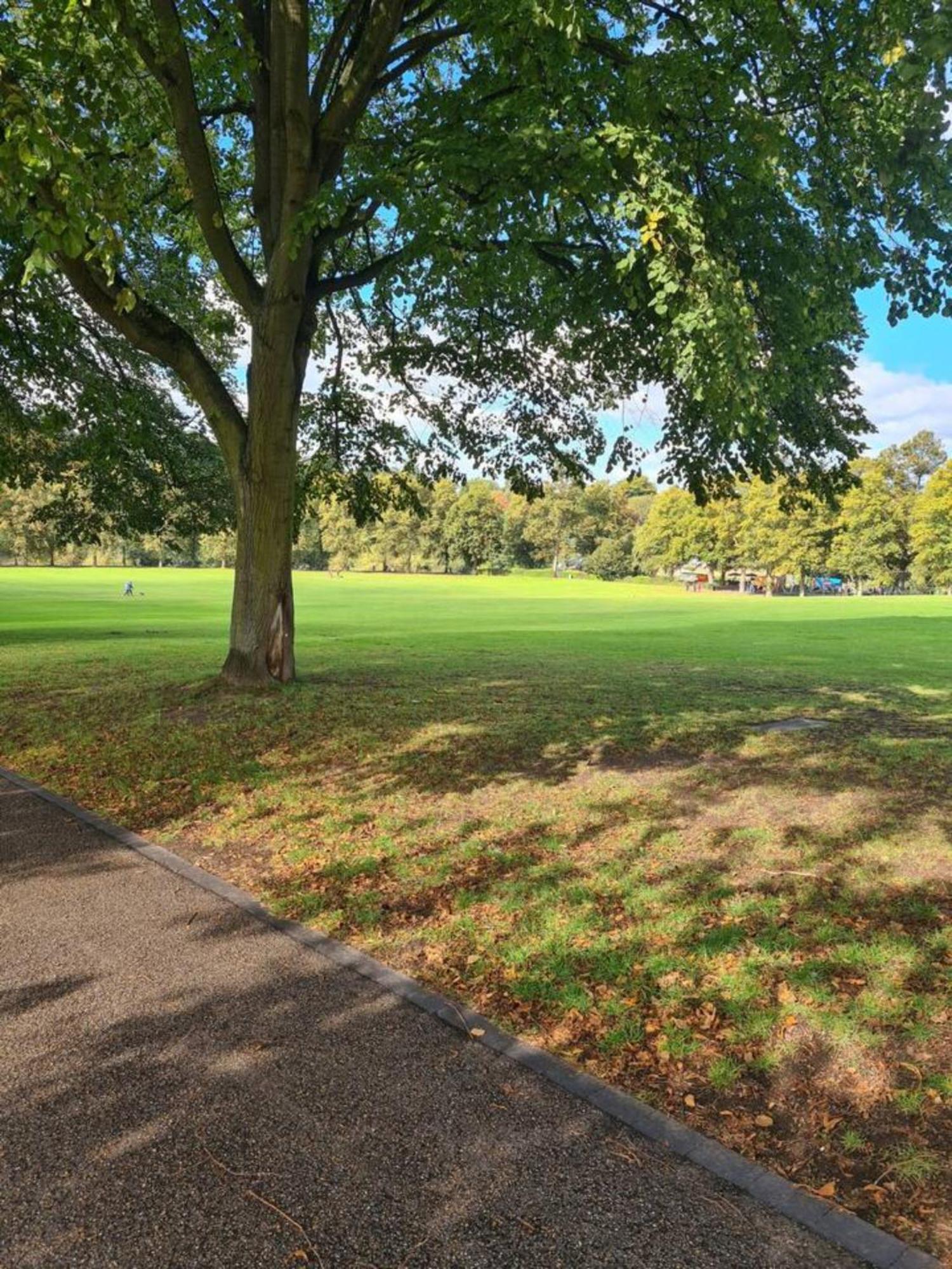 Cosy Corner - Town Centre Flat With Free Nearby Parking Appartement Shrewsbury Buitenkant foto