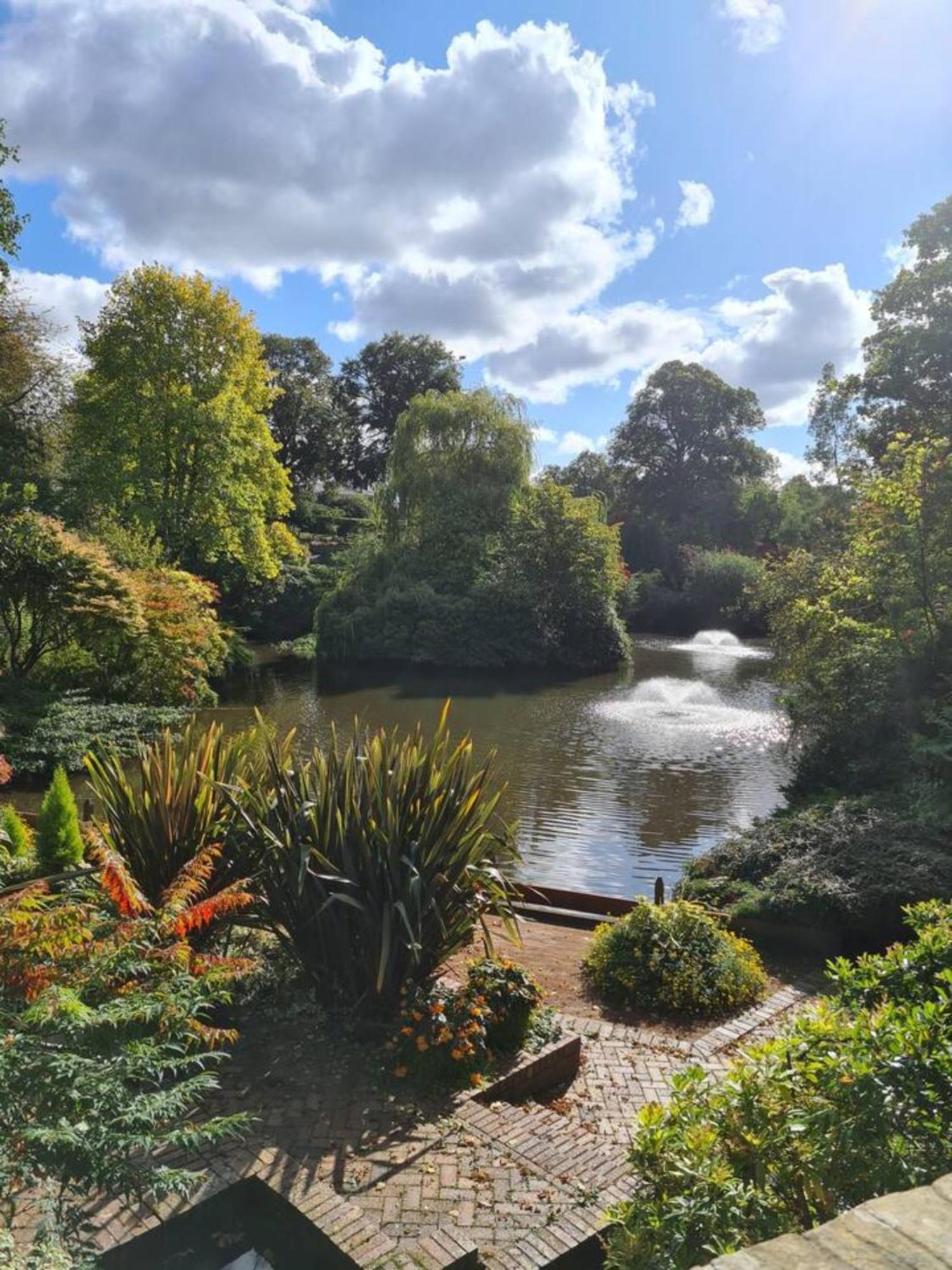 Cosy Corner - Town Centre Flat With Free Nearby Parking Appartement Shrewsbury Buitenkant foto